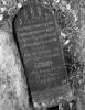 Grave of Feyga Turek, daughter of Yehuda Leyb, died 28 IX 1908. Translated by Maynard Gerber